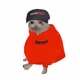 6573