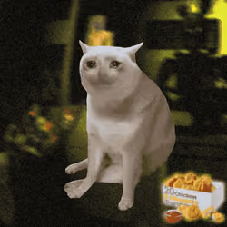 Cash Cat #4196