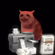 7050