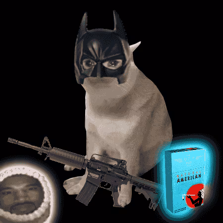 Cash Cat #8681
