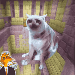 Cash Cat #7809