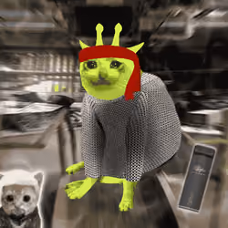 Cash Cat #8493