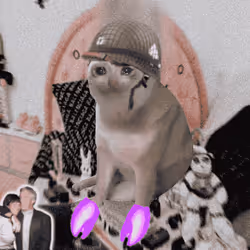 Cash Cat #4382