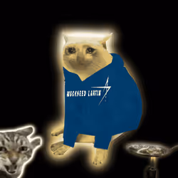 Cash Cat #2712