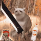 5794