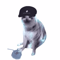 Cash Cat #5693