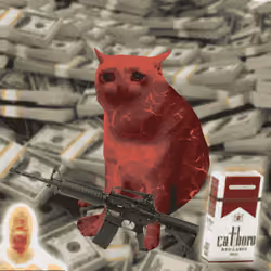 Cash Cat #4385