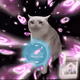 Cash Cat #1281