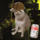 9455