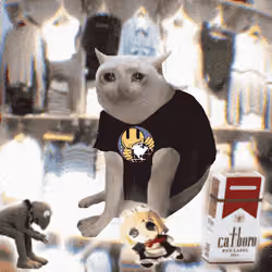 Cash Cat #7308
