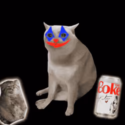 Cash Cat #986