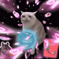 Cash Cat #2425