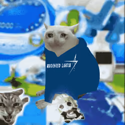Cash Cat #9039