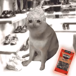 Cash Cat #1238