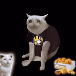 Cash Cat #3252