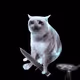 Cash Cat #390