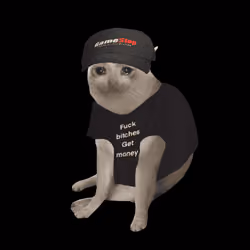 Cash Cat #1588