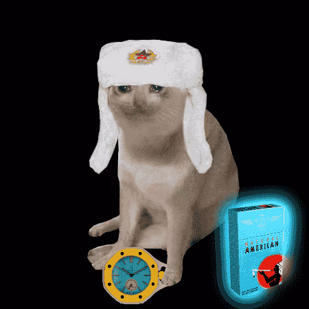 Cash Cat #3151