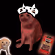 Cash Cat #7908