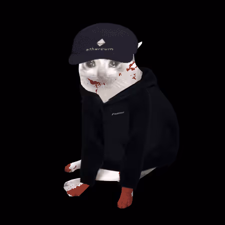 Cash Cat #3678