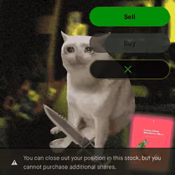 Cash Cat #8919