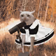 7941
