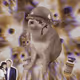 Cash Cat #2081