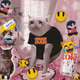 Cash Cat #1307