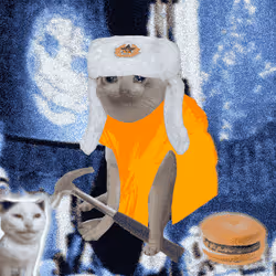 Cash Cat #725