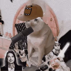 Cash Cat #7139