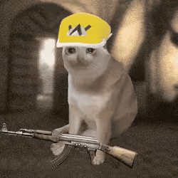 Cash Cat #4892