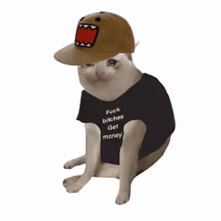 Cash Cat #5034