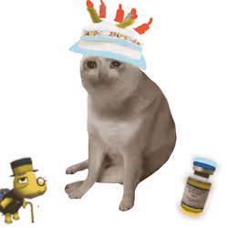 Cash Cat #9177