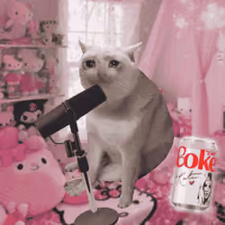 Cash Cat #867