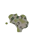 46