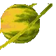 Gas Giant II