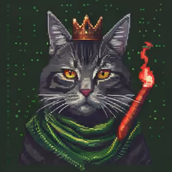 Pixel Cat Robinhood #675