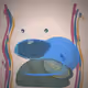 4908