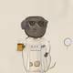 2081