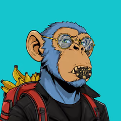 Ape#1896