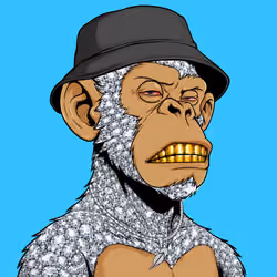 Ape#1208