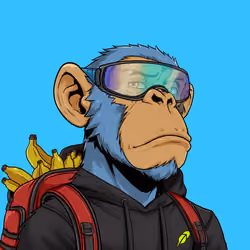 Ape#1219