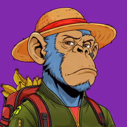Ape#0312