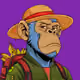 Ape#0312