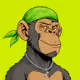 Ape#1960