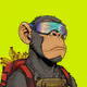 Ape#2202