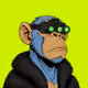 Ape#1071