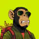 Ape#1752