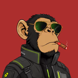 Ape#2155