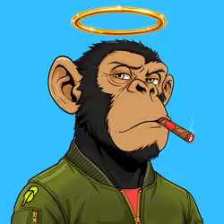 Ape#1014